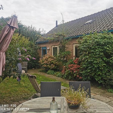Cottage Egmond-Binnen Met Besloten Tuin Eksteriør billede