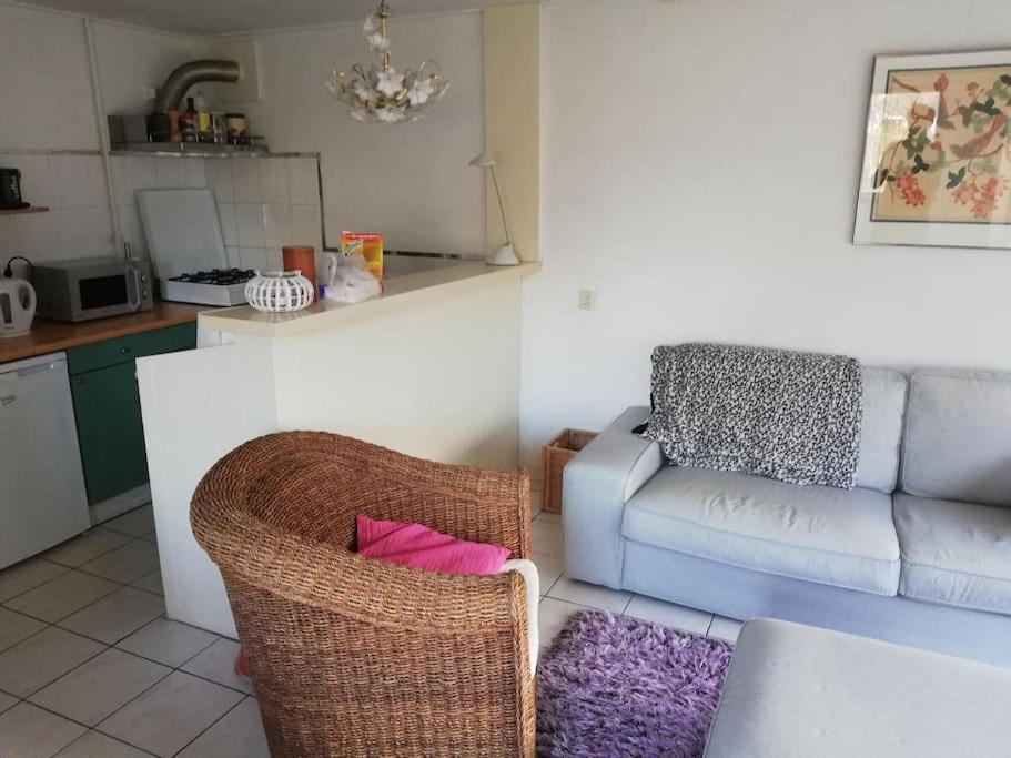 Cottage Egmond-Binnen Met Besloten Tuin Eksteriør billede