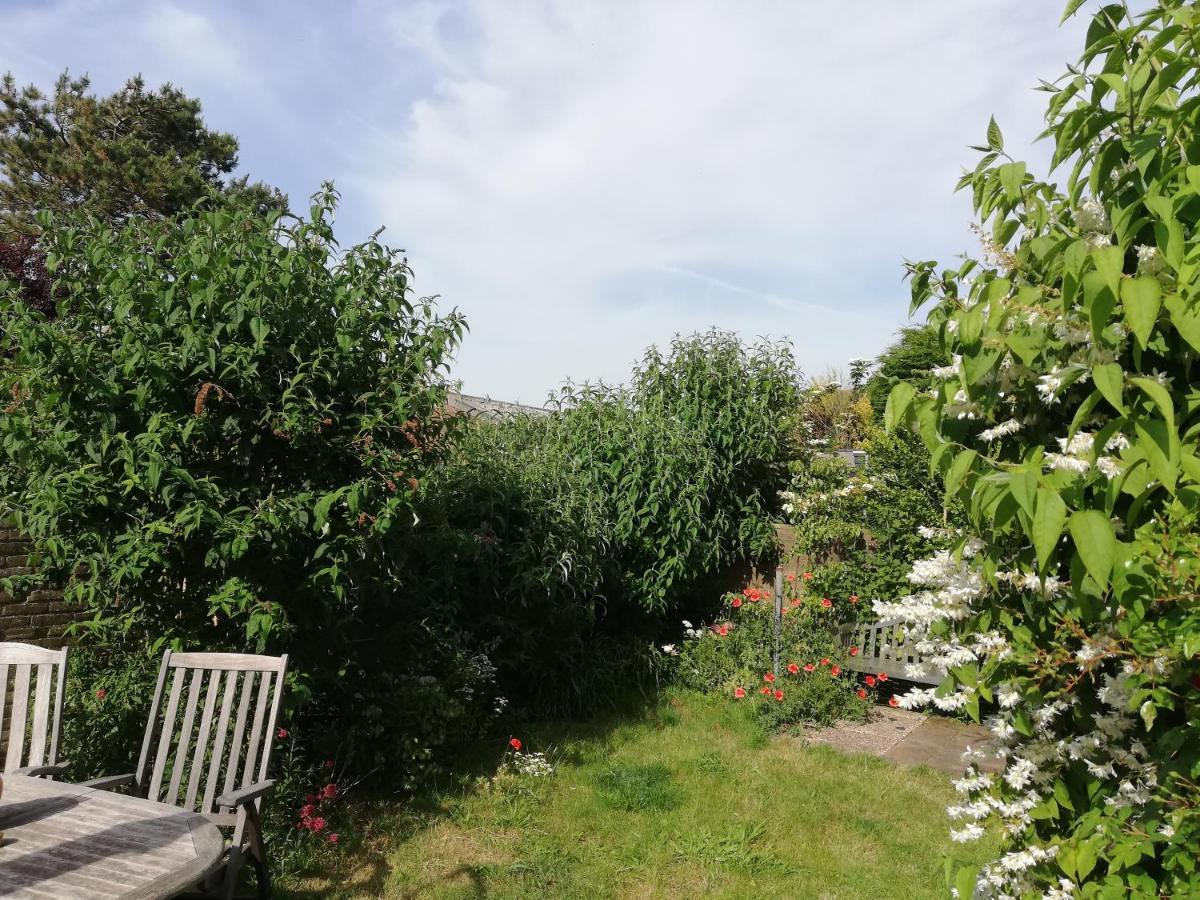 Cottage Egmond-Binnen Met Besloten Tuin Eksteriør billede