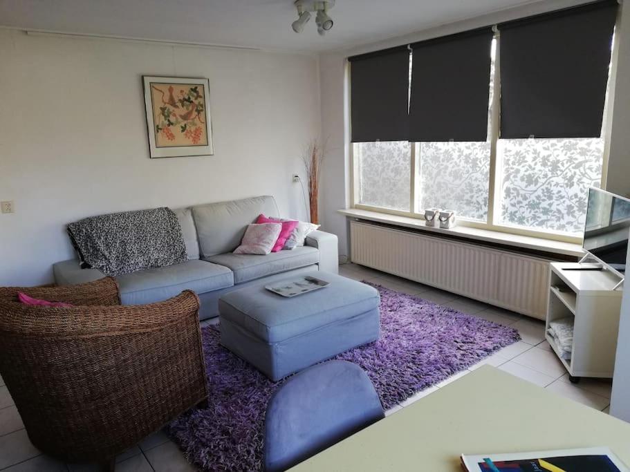 Cottage Egmond-Binnen Met Besloten Tuin Eksteriør billede