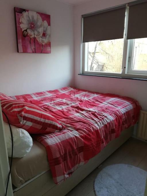 Cottage Egmond-Binnen Met Besloten Tuin Eksteriør billede