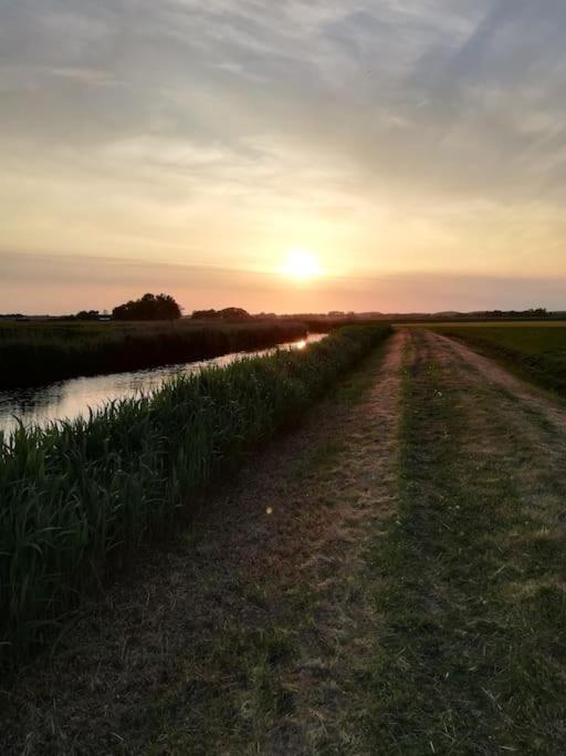 Cottage Egmond-Binnen Met Besloten Tuin Eksteriør billede