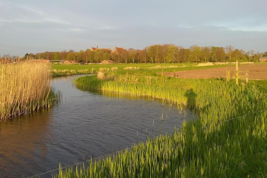 Cottage Egmond-Binnen Met Besloten Tuin Eksteriør billede