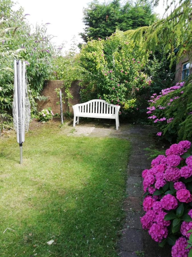 Cottage Egmond-Binnen Met Besloten Tuin Eksteriør billede