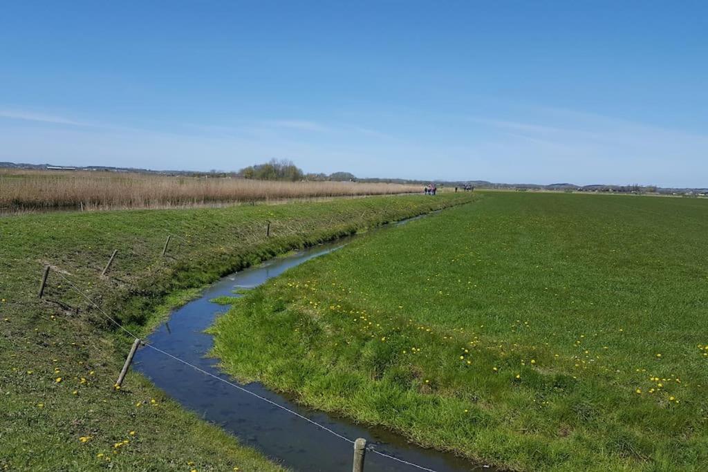 Cottage Egmond-Binnen Met Besloten Tuin Eksteriør billede