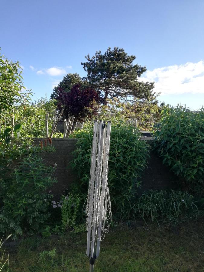 Cottage Egmond-Binnen Met Besloten Tuin Eksteriør billede