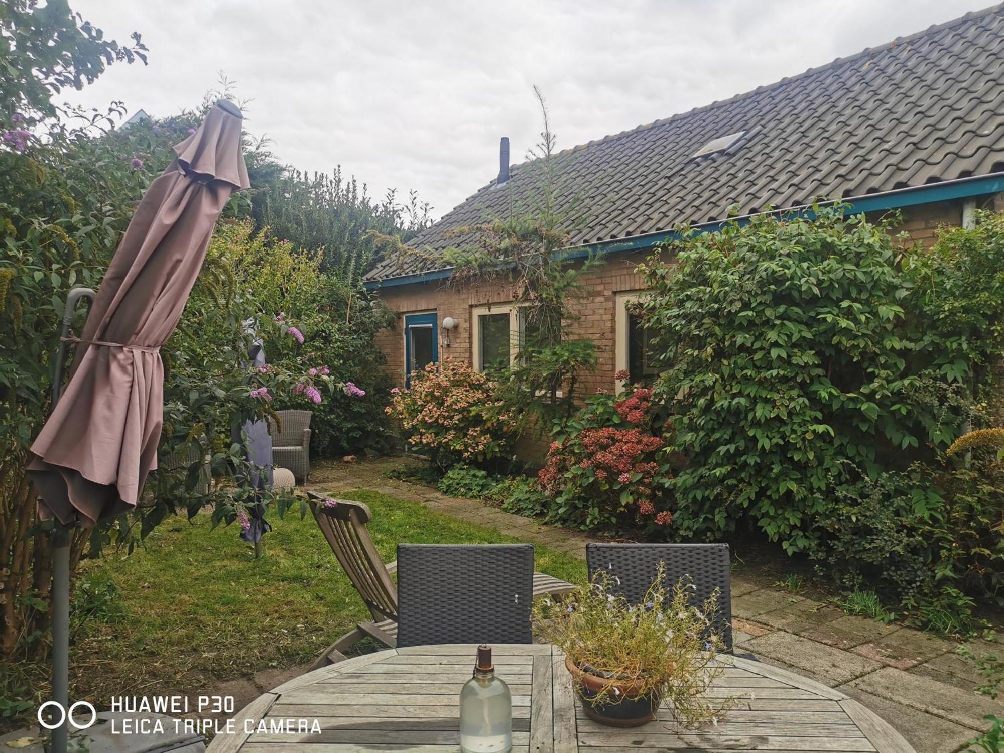 Cottage Egmond-Binnen Met Besloten Tuin Eksteriør billede