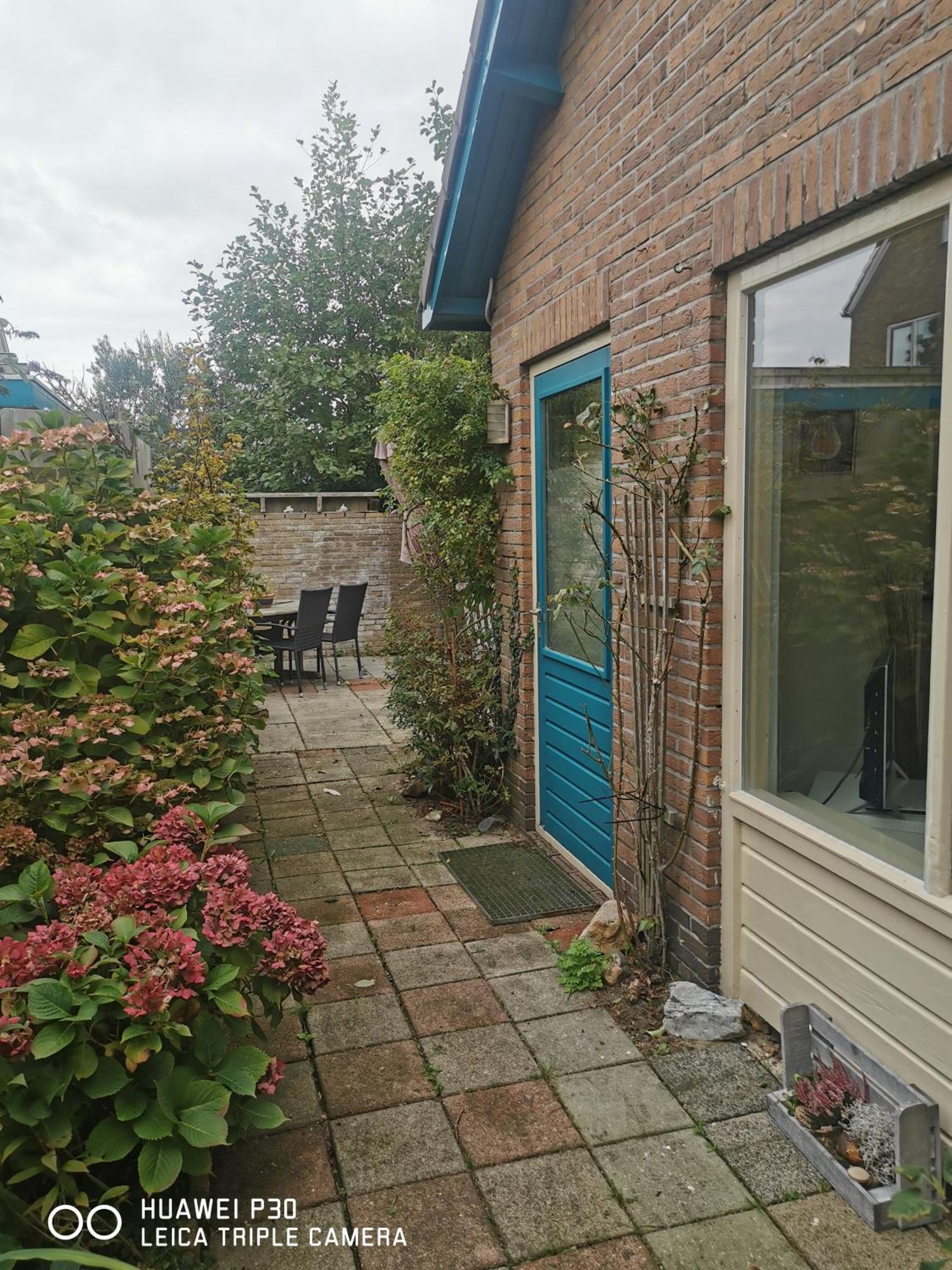 Cottage Egmond-Binnen Met Besloten Tuin Eksteriør billede